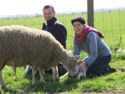 éleveurs agneaux Pas de Calais